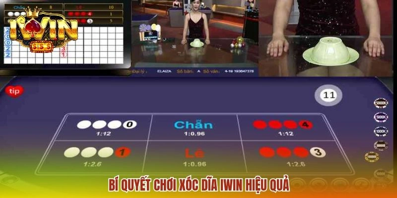 Live Xóc Dĩa IWIN - Giải Mã Luật Chơi Và Cơ Chế Thắng Thua 3 Bí quyết chơi xóc dĩa IWIN hiệu quả