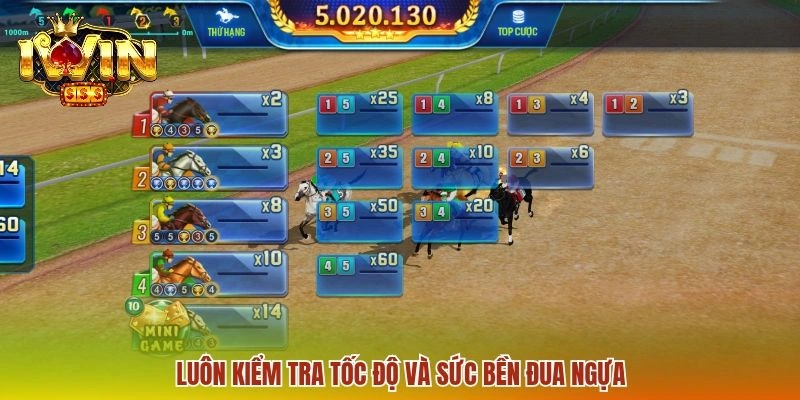 Luôn kiểm tra tốc độ và sức bền Đua Ngựa